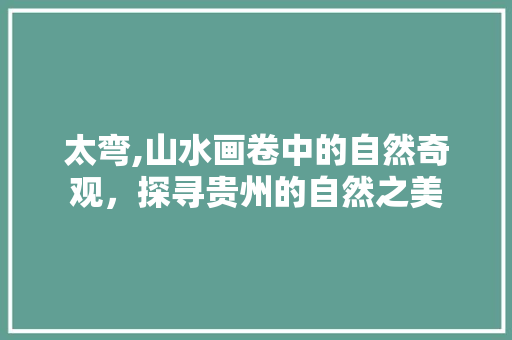 太弯,山水画卷中的自然奇观，探寻贵州的自然之美  第1张