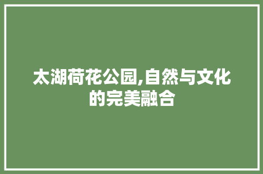 太湖荷花公园,自然与文化的完美融合