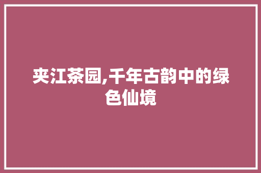 夹江茶园,千年古韵中的绿色仙境