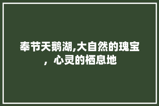 奉节天鹅湖,大自然的瑰宝，心灵的栖息地