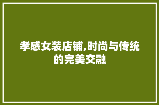 孝感女装店铺,时尚与传统的完美交融