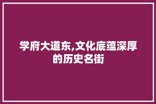 学府大道东,文化底蕴深厚的历史名街