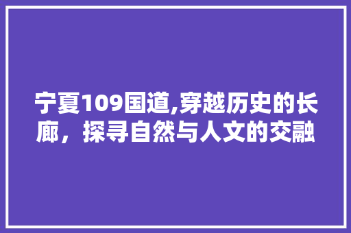 宁夏109国道,穿越历史的长廊，探寻自然与人文的交融之美