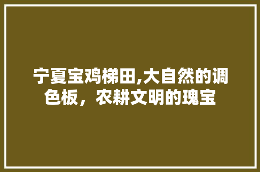 宁夏宝鸡梯田,大自然的调色板，农耕文明的瑰宝