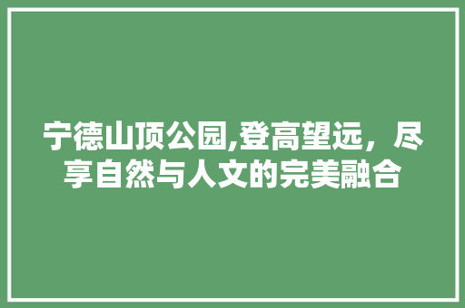 宁德山顶公园,登高望远，尽享自然与人文的完美融合