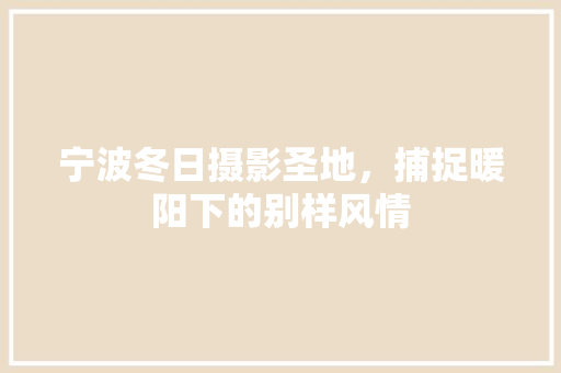 宁波冬日摄影圣地，捕捉暖阳下的别样风情