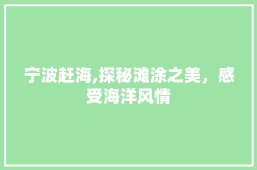 宁波赶海,探秘滩涂之美，感受海洋风情