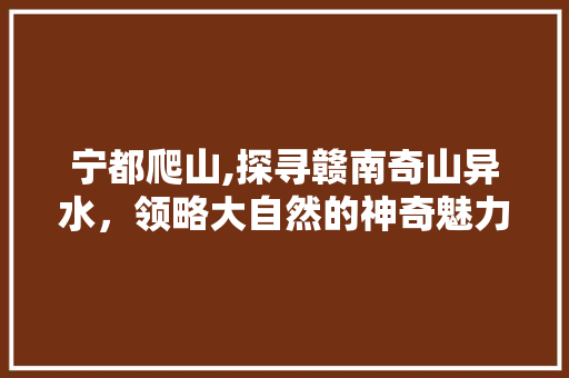 宁都爬山,探寻赣南奇山异水，领略大自然的神奇魅力