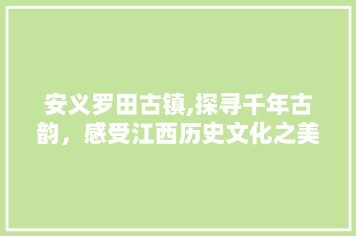 安义罗田古镇,探寻千年古韵，感受江西历史文化之美