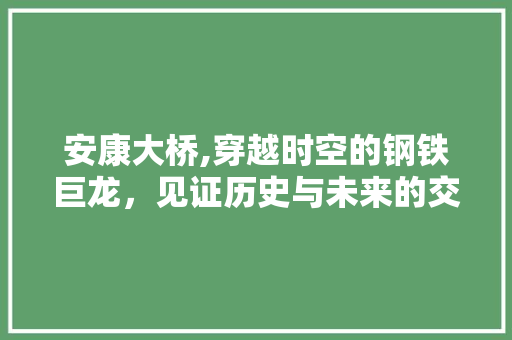 安康大桥,穿越时空的钢铁巨龙，见证历史与未来的交融