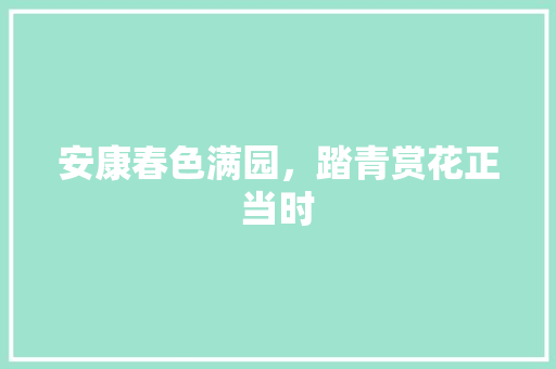 安康春色满园，踏青赏花正当时