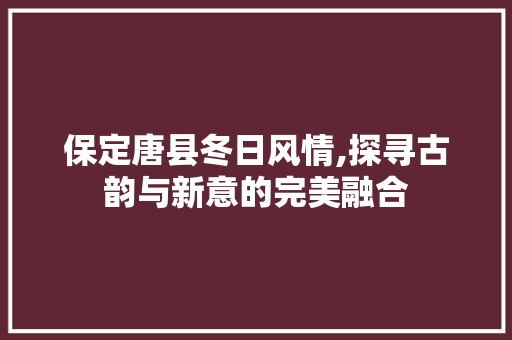 保定唐县冬日风情,探寻古韵与新意的完美融合