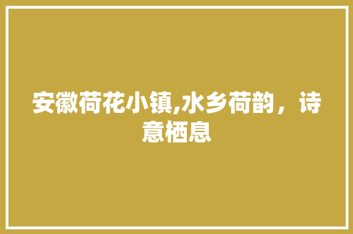 安徽荷花小镇,水乡荷韵，诗意栖息