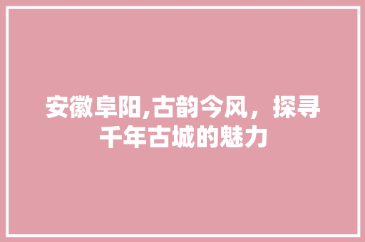 安徽阜阳,古韵今风，探寻千年古城的魅力