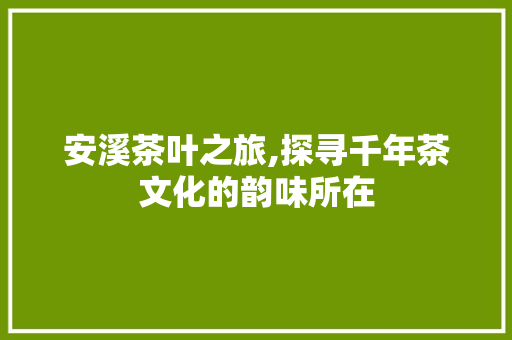 安溪茶叶之旅,探寻千年茶文化的韵味所在