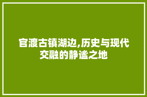 官渡古镇湖边,历史与现代交融的静谧之地