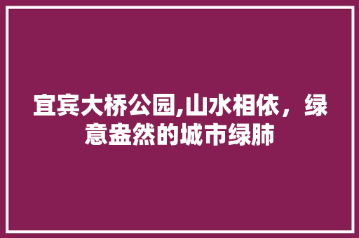 宜宾大桥公园,山水相依，绿意盎然的城市绿肺  第1张