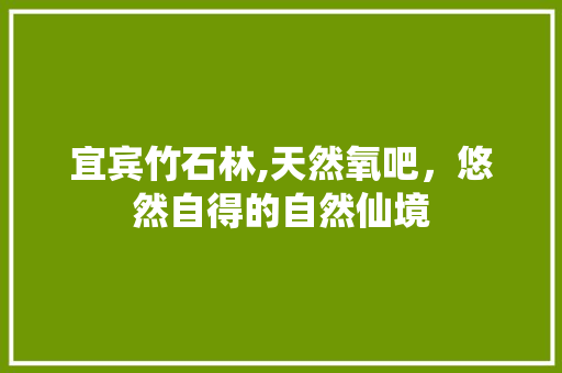 宜宾竹石林,天然氧吧，悠然自得的自然仙境