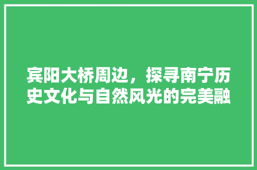 宾阳大桥周边，探寻南宁历史文化与自然风光的完美融合