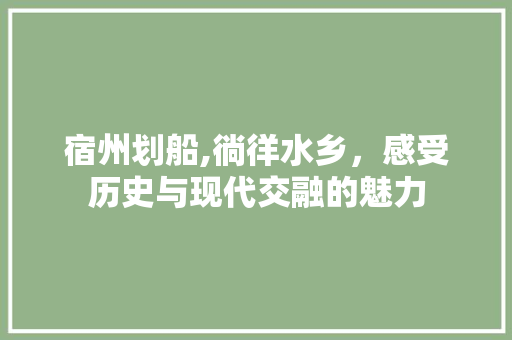 宿州划船,徜徉水乡，感受历史与现代交融的魅力