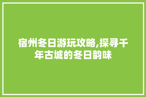 宿州冬日游玩攻略,探寻千年古城的冬日韵味  第1张