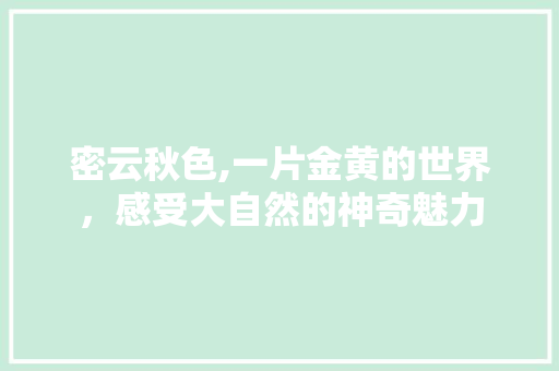 密云秋色,一片金黄的世界，感受大自然的神奇魅力