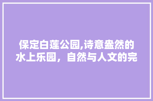 保定白莲公园,诗意盎然的水上乐园，自然与人文的完美融合