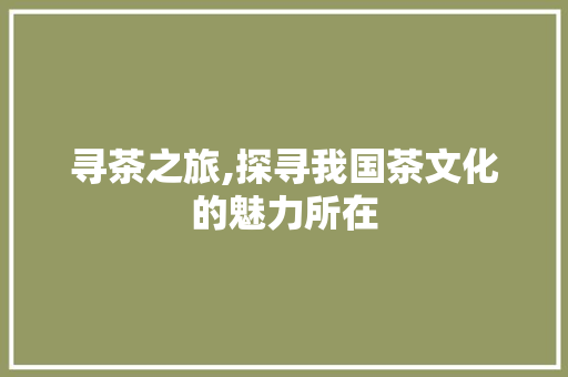 寻茶之旅,探寻我国茶文化的魅力所在