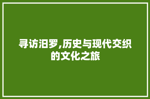 寻访汨罗,历史与现代交织的文化之旅