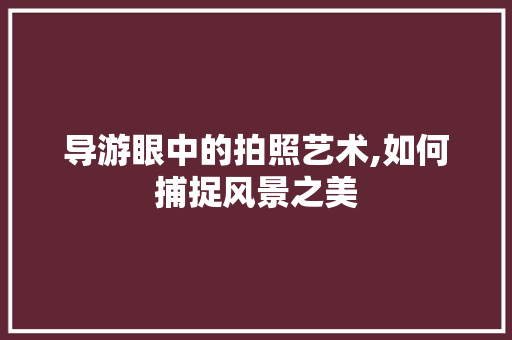 导游眼中的拍照艺术,如何捕捉风景之美