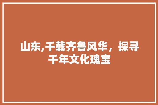 山东,千载齐鲁风华，探寻千年文化瑰宝