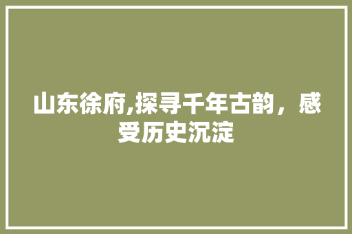 山东徐府,探寻千年古韵，感受历史沉淀  第1张