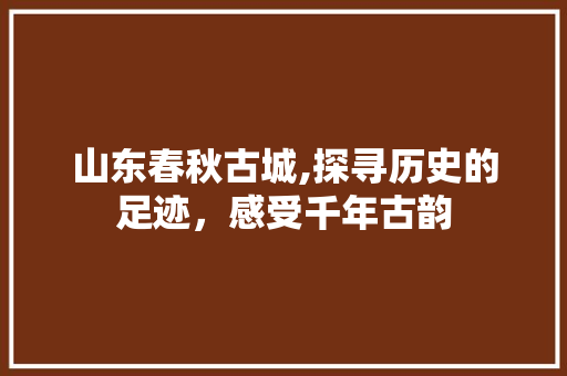 山东春秋古城,探寻历史的足迹，感受千年古韵