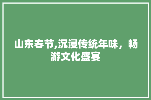 山东春节,沉浸传统年味，畅游文化盛宴  第1张