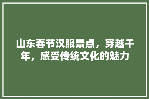 山东春节汉服景点，穿越千年，感受传统文化的魅力