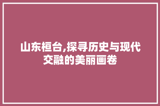 山东桓台,探寻历史与现代交融的美丽画卷  第1张