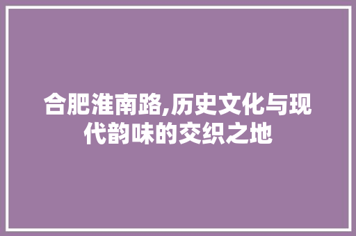 合肥淮南路,历史文化与现代韵味的交织之地