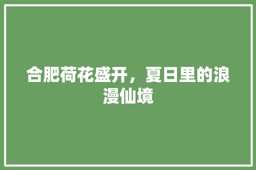 合肥荷花盛开，夏日里的浪漫仙境