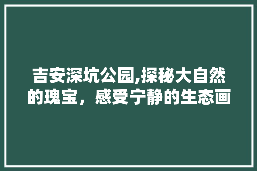 吉安深坑公园,探秘大自然的瑰宝，感受宁静的生态画卷