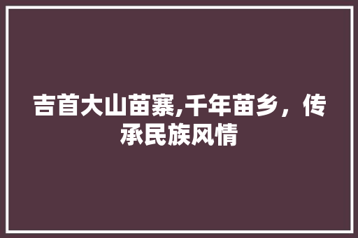 吉首大山苗寨,千年苗乡，传承民族风情