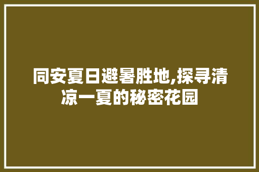 同安夏日避暑胜地,探寻清凉一夏的秘密花园