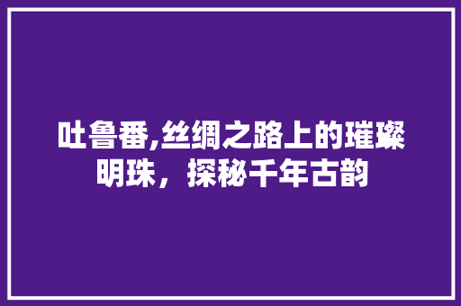 吐鲁番,丝绸之路上的璀璨明珠，探秘千年古韵