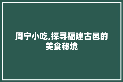 周宁小吃,探寻福建古邑的美食秘境  第1张