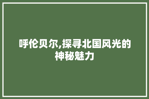 呼伦贝尔,探寻北国风光的神秘魅力