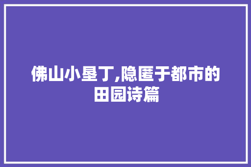 佛山小垦丁,隐匿于都市的田园诗篇