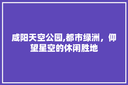 咸阳天空公园,都市绿洲，仰望星空的休闲胜地  第1张