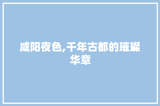 咸阳夜色,千年古都的璀璨华章  第1张