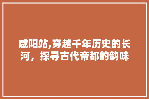 咸阳站,穿越千年历史的长河，探寻古代帝都的韵味