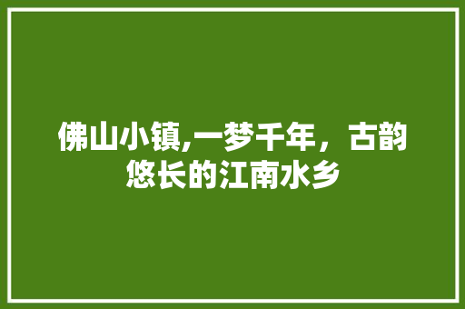 佛山小镇,一梦千年，古韵悠长的江南水乡