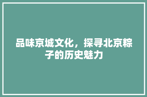 品味京城文化，探寻北京粽子的历史魅力